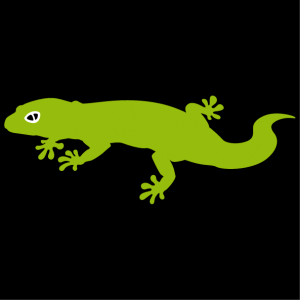 Customize this stylized gecko with your colors and print an original t-shirt.