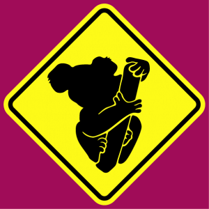 Gift or t-shirt stylized Koala drawn from the front and pasted on a road sign customized online.