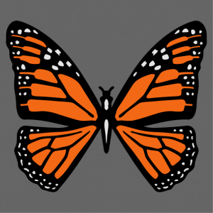 Print your original butterfly t-shirt online with this 3-color decorative pattern.