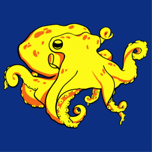 Octopus t-shirt to personalize online. Stylized octopus drawn in 3 colors.