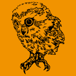Customizable owl, high resolution black and transparent design.