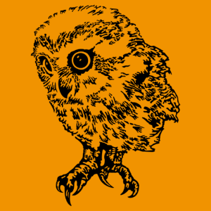 Cute baby owl drawn in full length and three-quarters face view, high resolution design for digital transfer to t-shirt or gift.