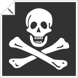 Pirate and piracy designs to customize online, skull, skull and crossbones, jolly roger etc.