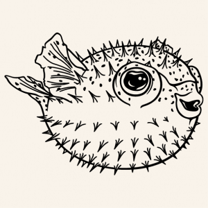 Funny pufferfish fish to print online. Ocean and marine fish design. Plump pufer fish.