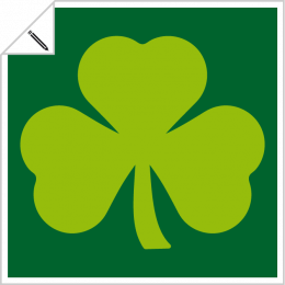 Saint Patrick's designs to personalize online.