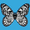 Elegant black and white opaque butterfly to be printed online.