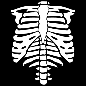 Create a Halloween t-shirt. Stylized skeleton customizable to print in phosphorescent or white on black to create an online Halloween t-shirt.