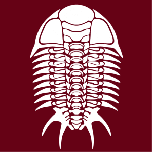 Trilobite t-shirt.  Skeleton of trilobite in one color. Custom fossil t-shirt.